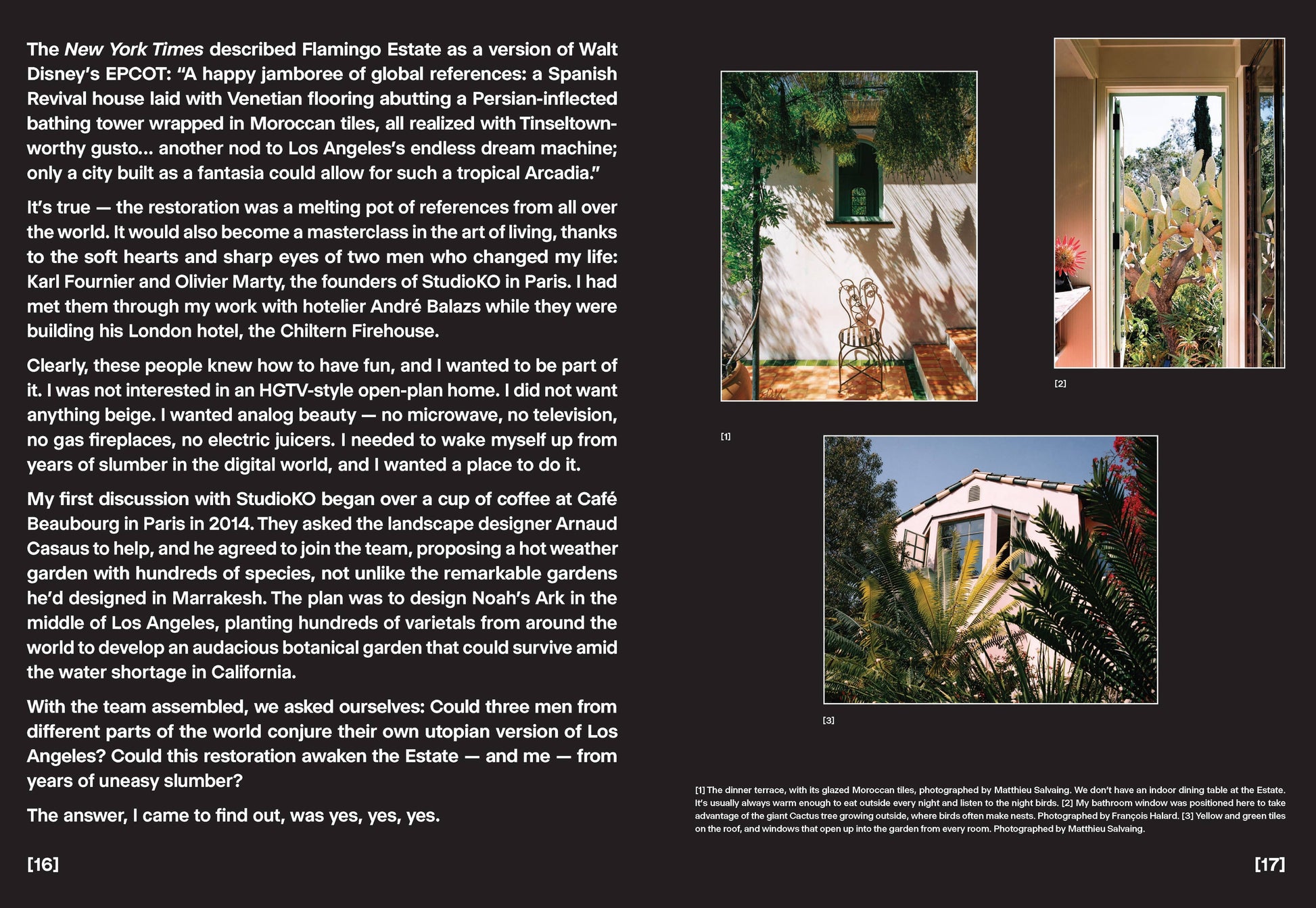 Open book titled "Flamingo Estate: The Guide to Becoming Alive" by Chronicle Books, featuring colorful illustrations on the cover.