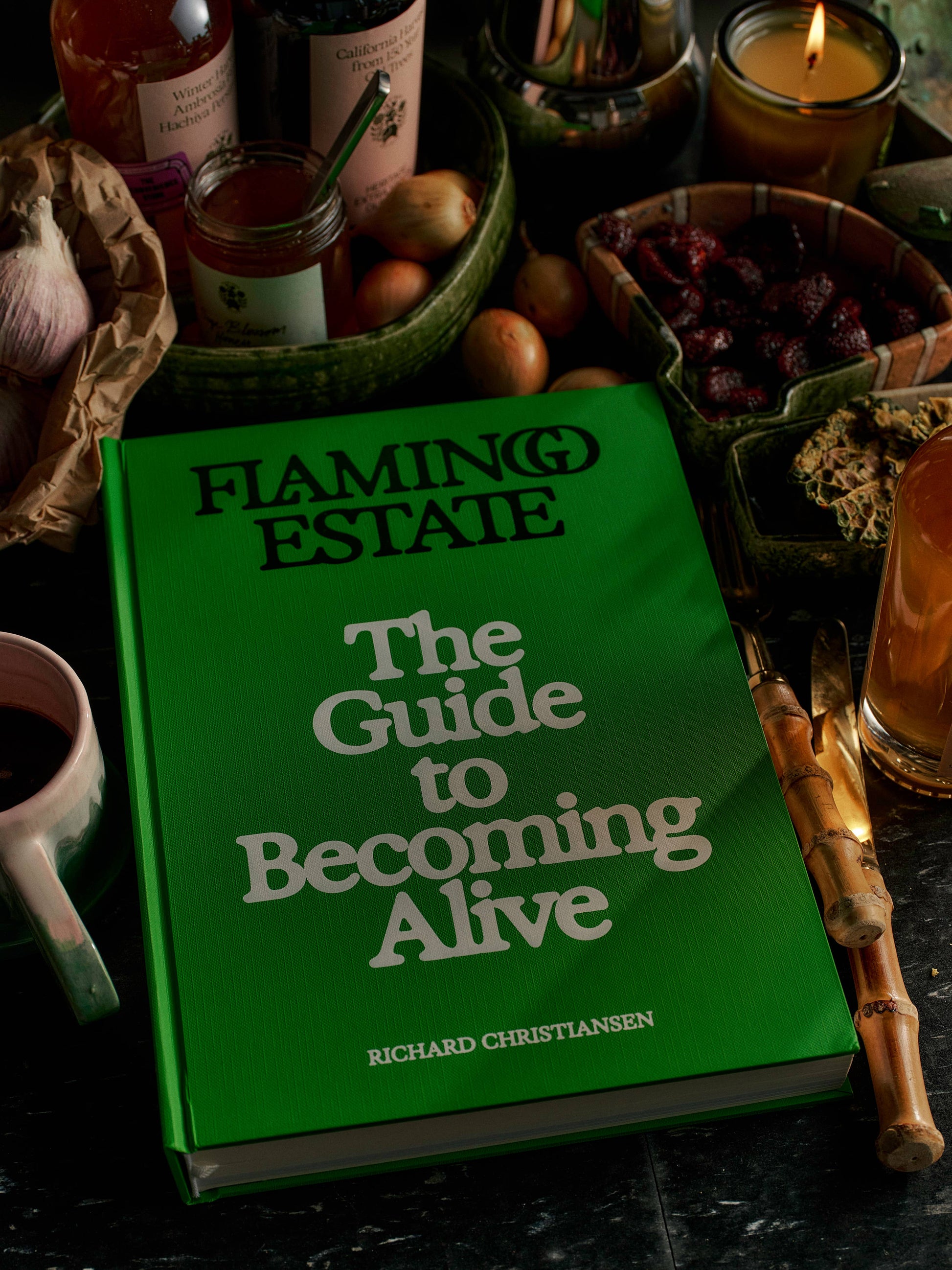 Close-up of the book cover for "Flamingo Estate: The Guide to Becoming Alive" by Chronicle Books, featuring vibrant flamingo artwork.