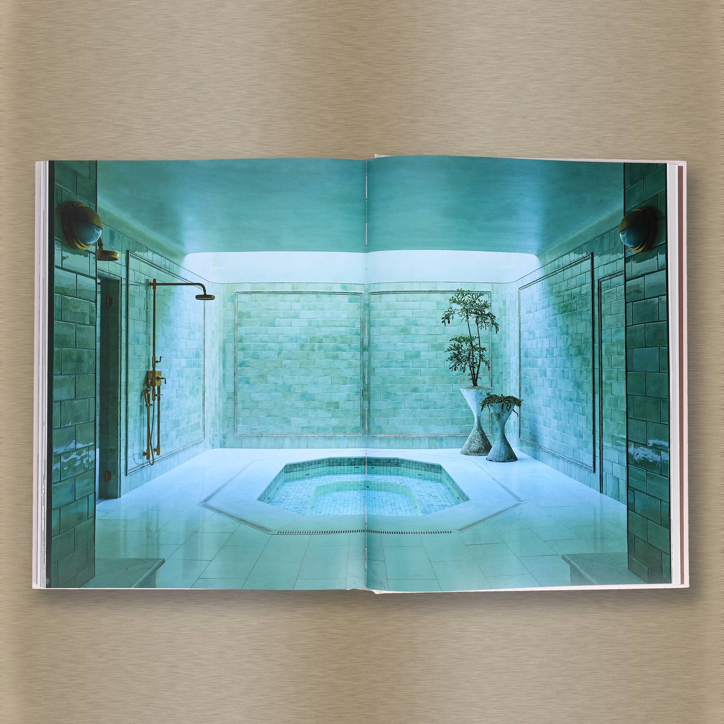 Livable Luxe book by Chronicle Books featuring modern home decor and interior design inspiration with elegant styling.