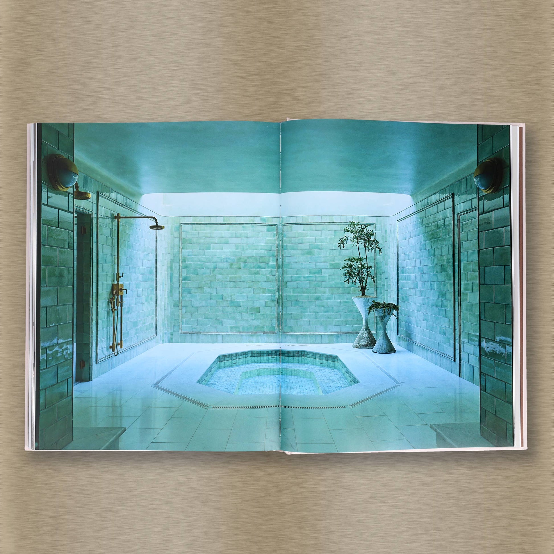 Livable Luxe book by Chronicle Books featuring modern home decor and interior design inspiration with elegant styling.