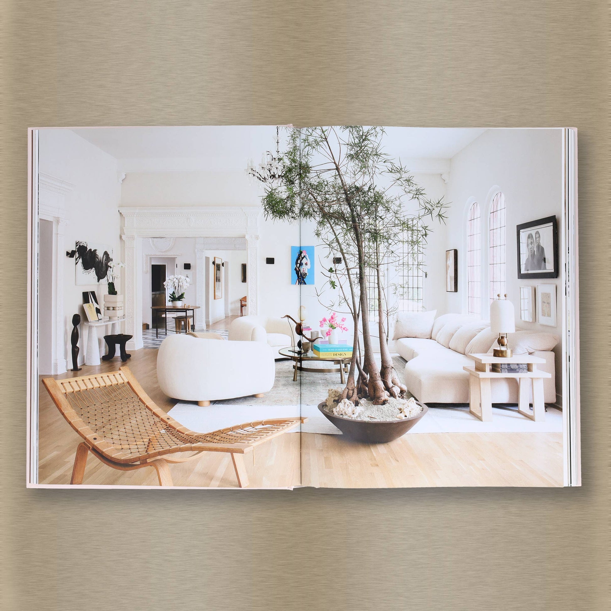 Livable Luxe book cover by Chronicle Books featuring a stylish, modern interior design scene on a sleek, colorful background.
