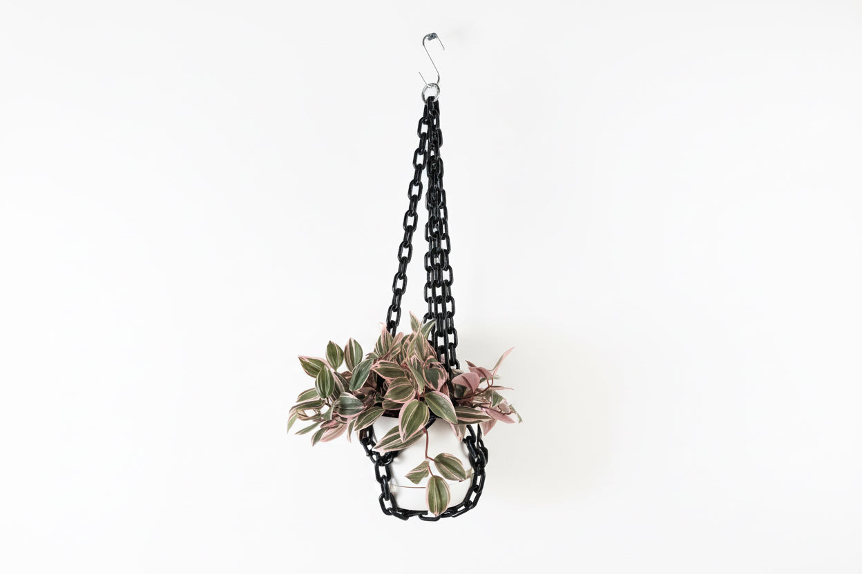Black chain hanging planter from The Vault Creative featuring a modern design for indoor or outdoor plant display.