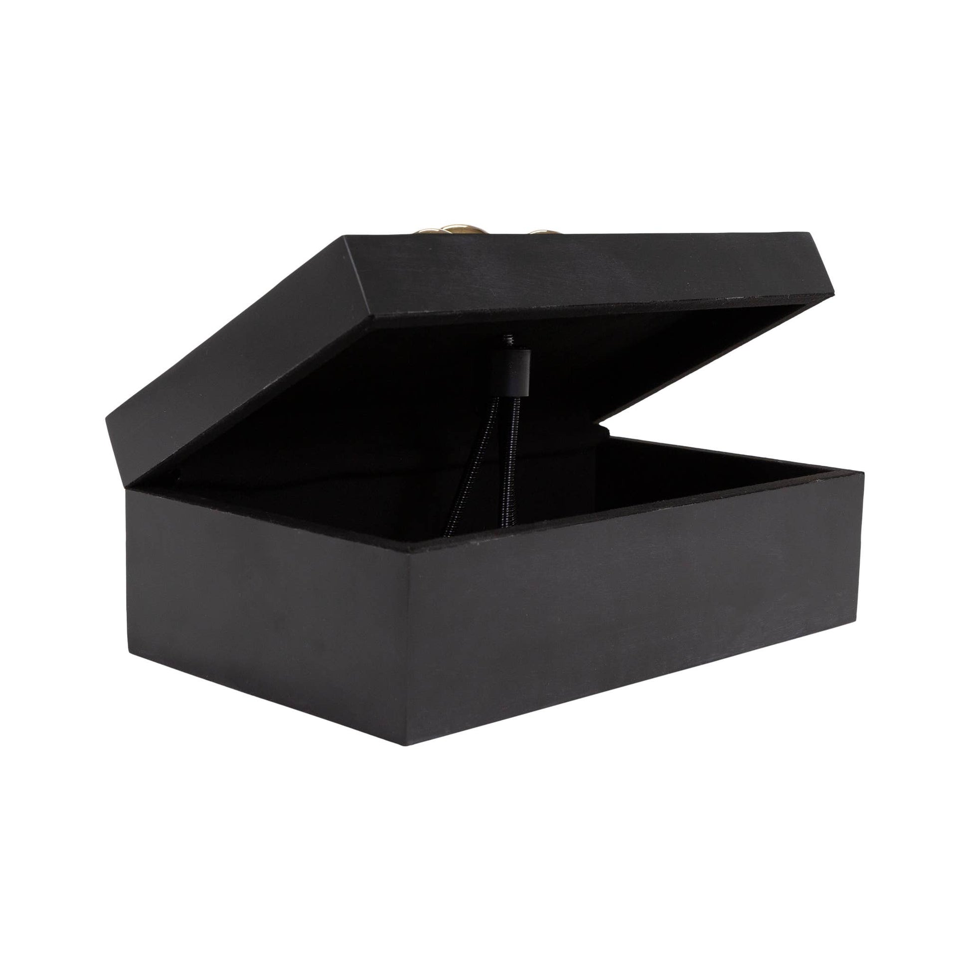 Decorative Hardin Box by ST x OH featuring intricate design and natural wood finish, perfect for stylish storage or display.