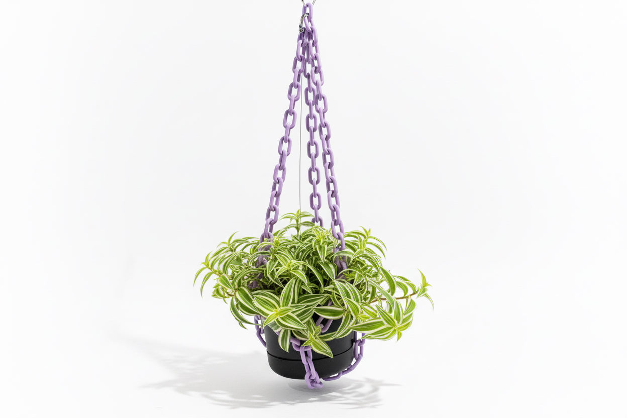Purple Mod Hanging Planter by The Vault Creative with a sleek, modern design hanging from a ceiling.