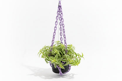 Purple Mod Hanging Planter by The Vault Creative with a sleek, modern design hanging from a ceiling.