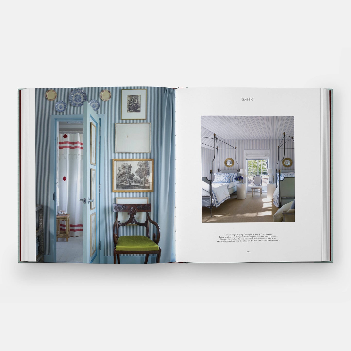 Open book titled "Everybody Loves Stripes" by Phaidon, featuring colorful striped patterns on pages.