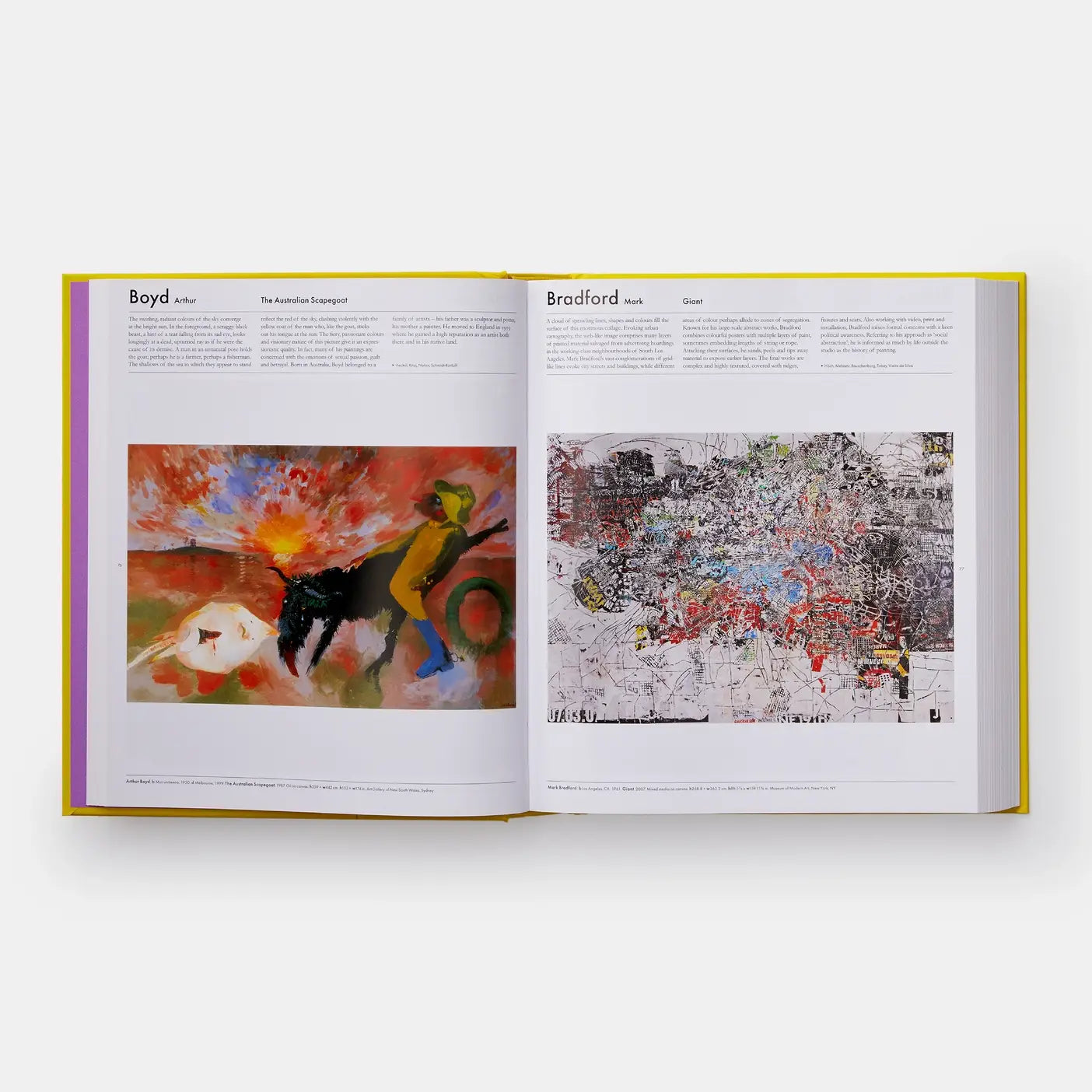 Phaidon art book, revised edition featuring colorful artwork and illustrations on the cover, showcasing a comprehensive art collection.
