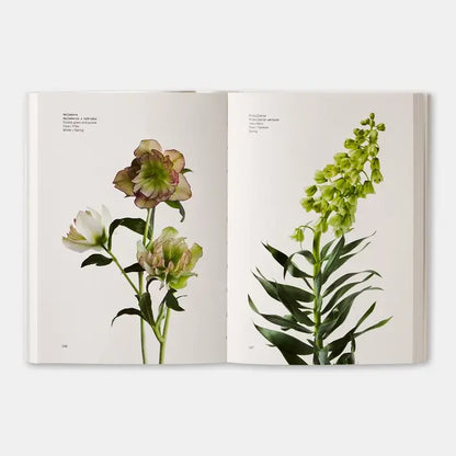 Phaidon Flower Color Guide book open showing colorful pages with flower illustrations and color comparison charts.