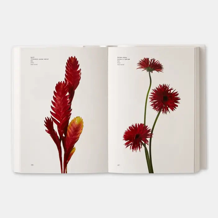 Phaidon Flower Color Guide book showing vibrant flower illustrations on the cover for botanical color reference.