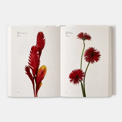 Phaidon Flower Color Guide book showing vibrant flower illustrations on the cover for botanical color reference.