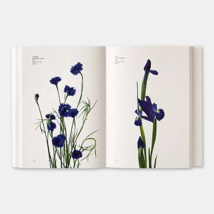 Phaidon Flower Color Guide book showing vibrant flower illustrations and color samples on the cover.