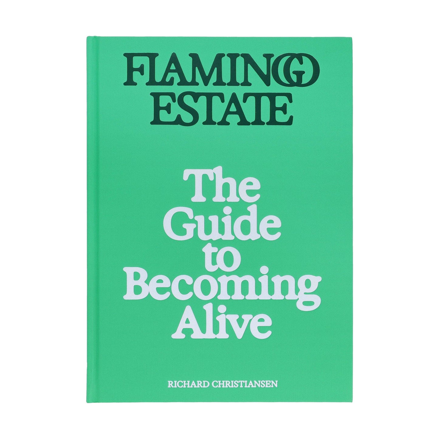 Open book titled "Flamingo Estate: The Guide to Becoming Alive" by Chronicle Books, featuring vibrant cover art and colorful illustrations.