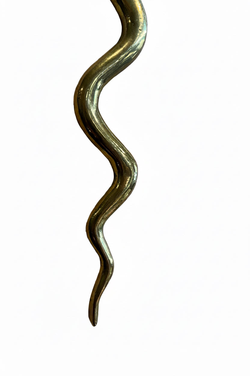 Pair of vintage brass snake sconces with intricate detailing, mounted on a wall for decorative lighting.