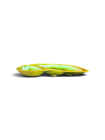 Matches The Dip Tray