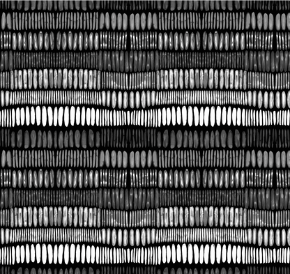 Tracks - Black and White