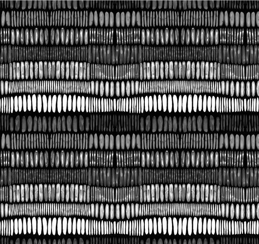 Tracks - Black and White