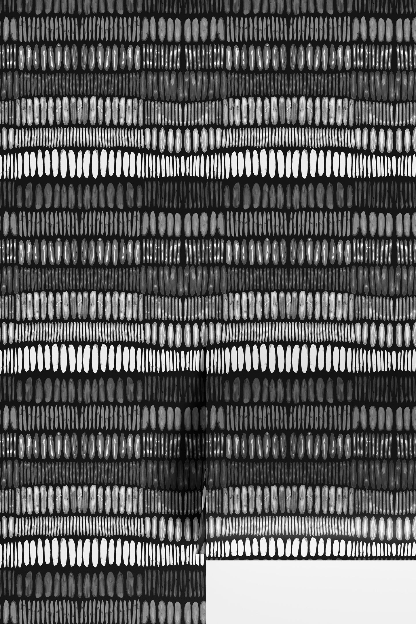 Tracks - Black and White