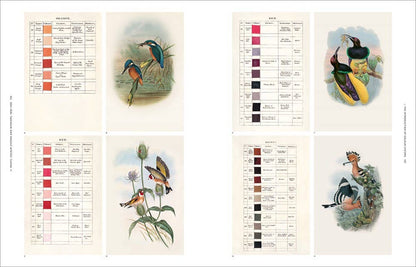 Cover image of "Anatomy of Color" book by W. W. Norton, featuring a colorful abstract design on the front.