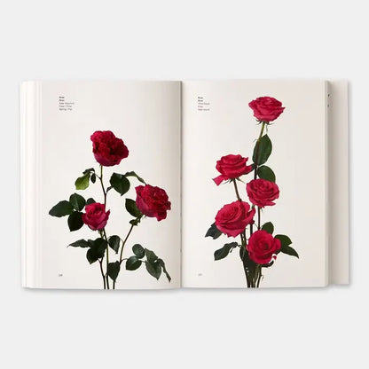Phaidon Flower Color Guide book featuring vibrant flower illustrations and color reference pages, ideal for artists and designers.