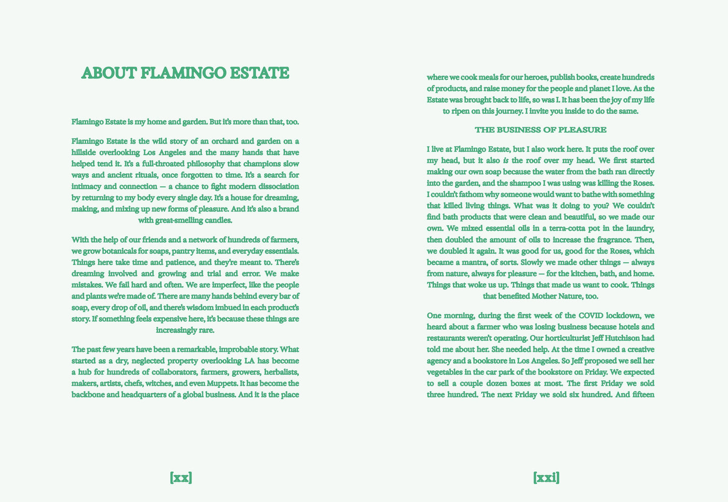 Open book titled "Flamingo Estate: The Guide to Becoming Alive" by Chronicle Books, featuring colorful cover art.