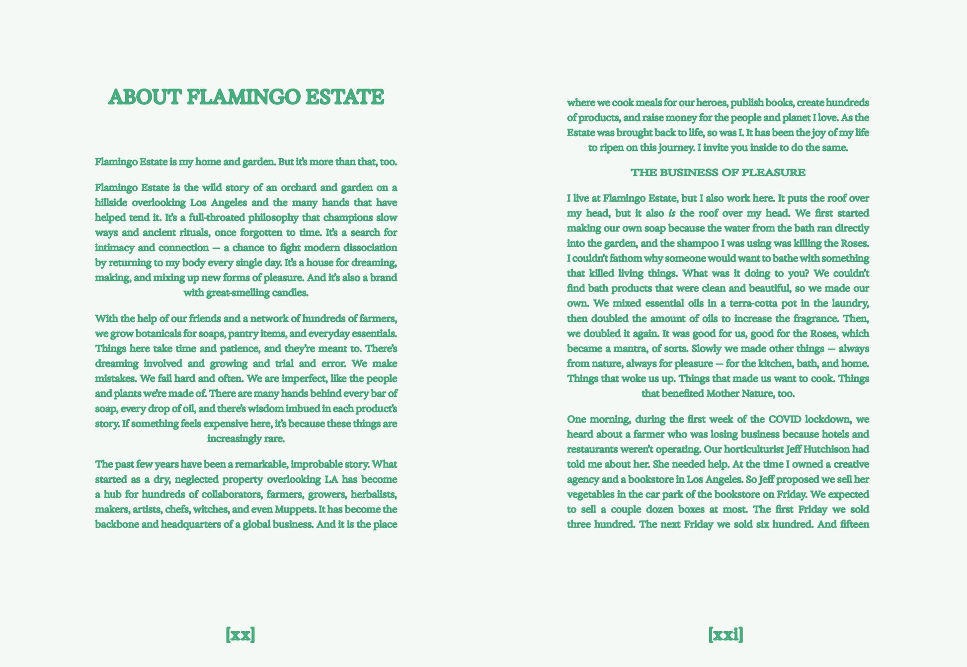 Open book titled "Flamingo Estate: The Guide to Becoming Alive" by Chronicle Books, featuring colorful cover art.
