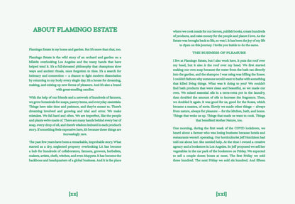 Open book titled "Flamingo Estate: The Guide to Becoming Alive" by Chronicle Books, featuring colorful cover art.